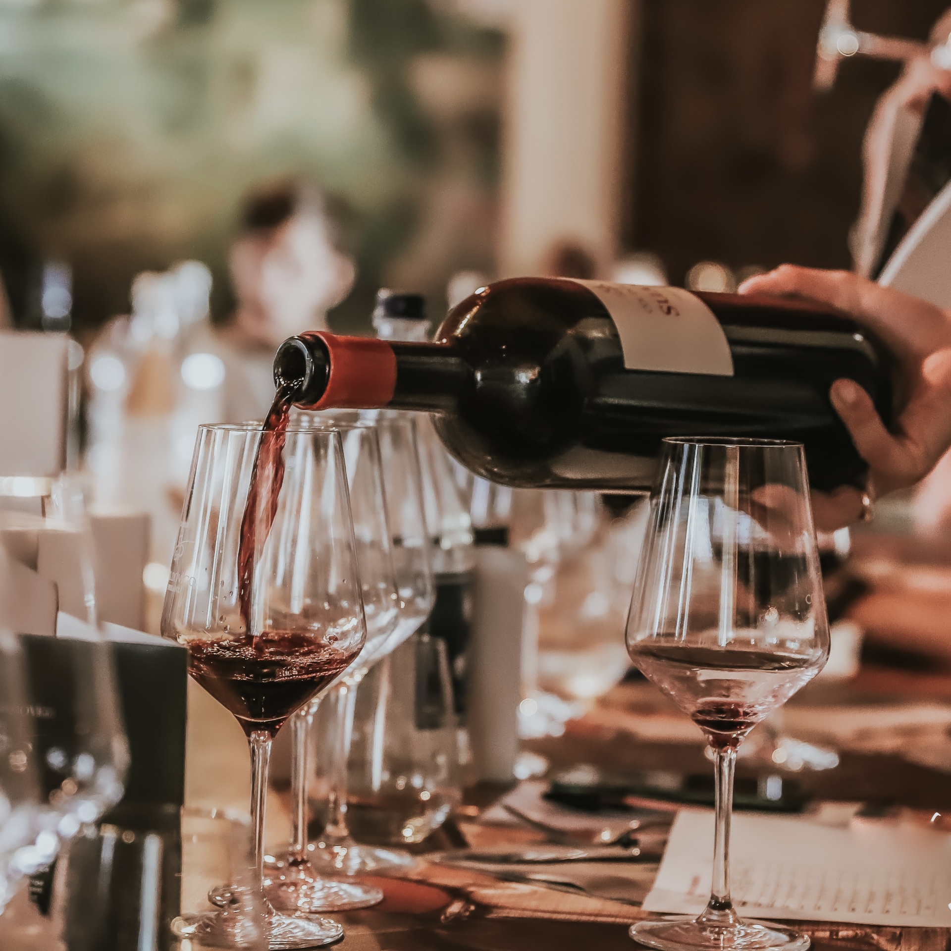 Degustação de Vinhos